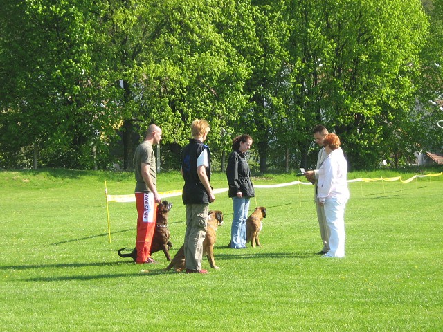 www.atibox.net * www.euroboxer.eu * www.boxergenealogia.eu